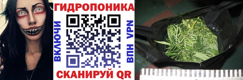 Бошки Шишки планчик  Анапа 